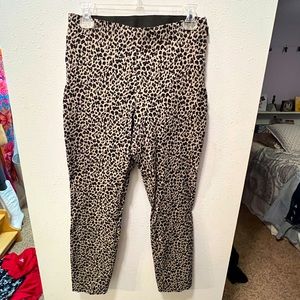 A New Day Dress Pants